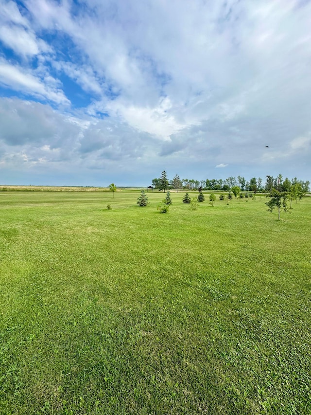 view of yard featuring a rural view