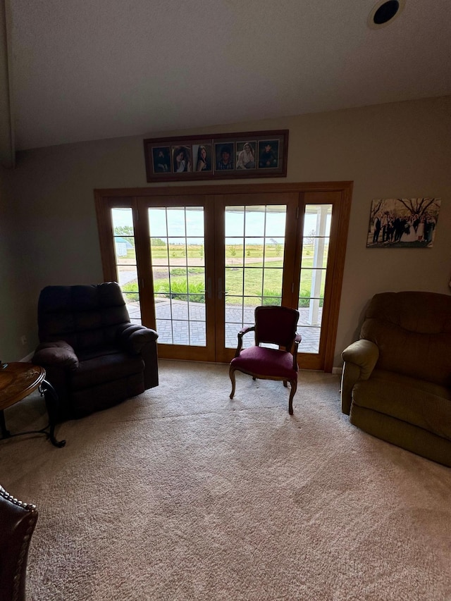 living room featuring a wealth of natural light and carpet