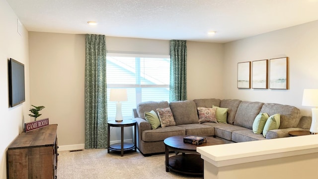 carpeted living room with a textured ceiling