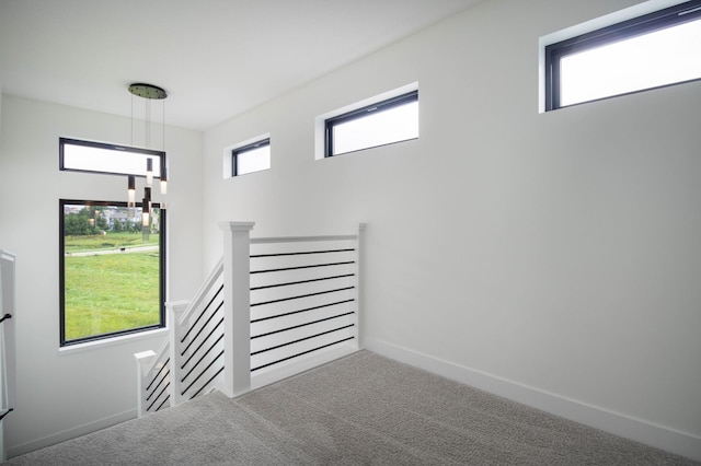 stairway featuring a wealth of natural light and carpet flooring