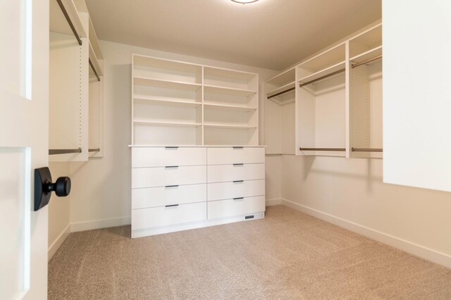 spacious closet with light colored carpet