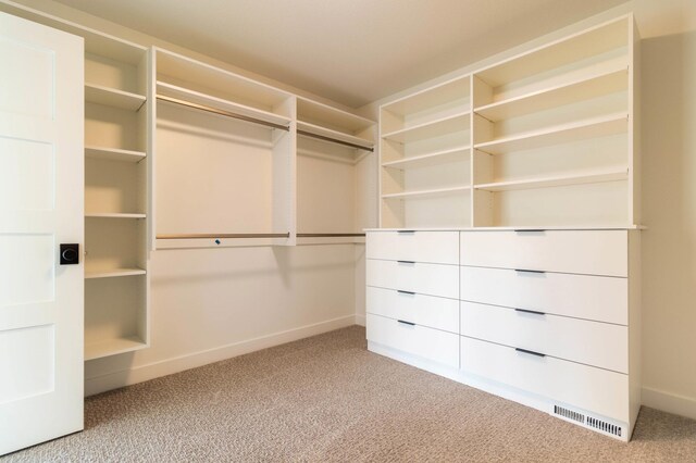 walk in closet featuring light colored carpet