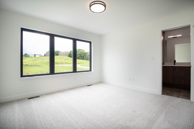 spare room featuring carpet and plenty of natural light