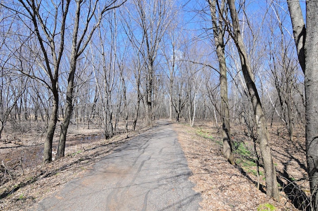 view of road