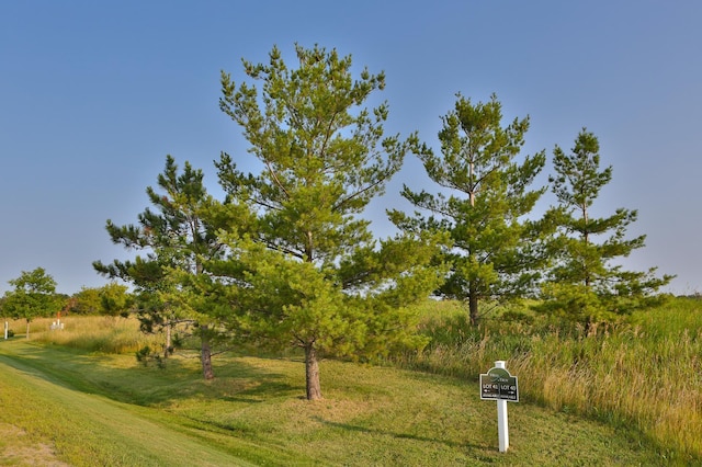 view of property's community with a yard