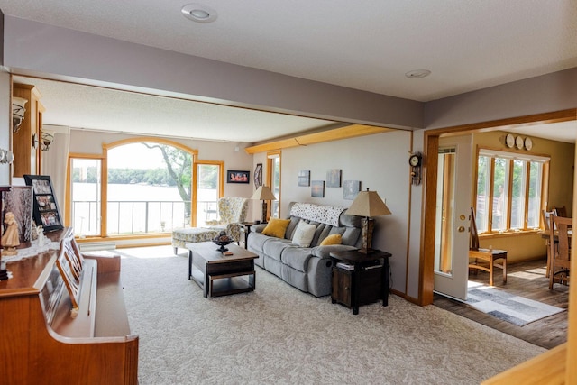 living room with wood-type flooring, a textured ceiling, and plenty of natural light