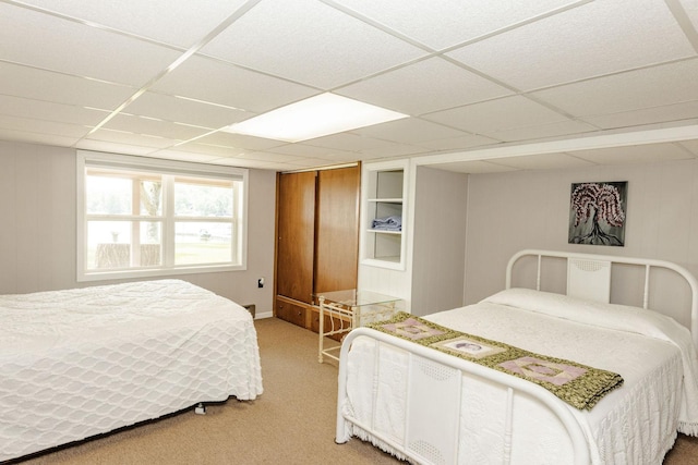 bedroom featuring a paneled ceiling and carpet flooring