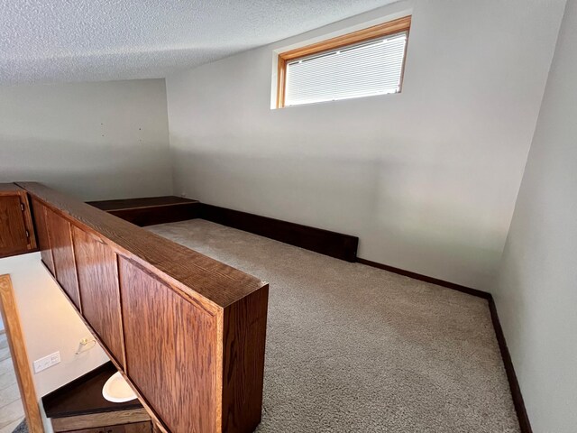 interior space with a textured ceiling and carpet floors