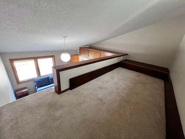 interior space featuring carpet and a textured ceiling