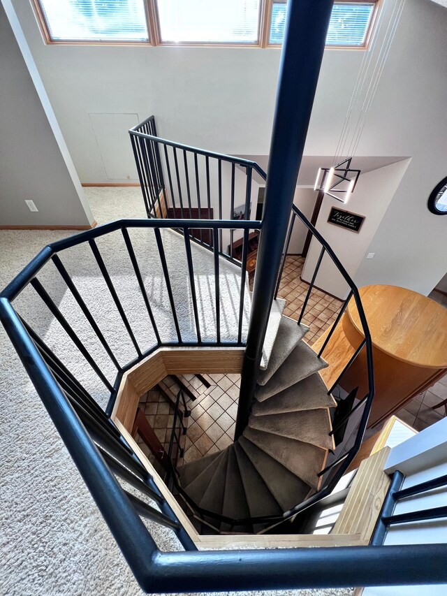 stairs featuring a high ceiling, carpet floors, and a healthy amount of sunlight