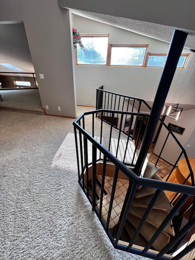 stairs with carpet flooring