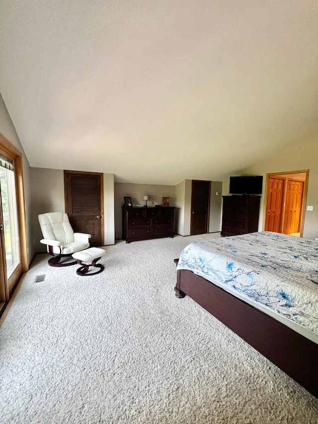 bedroom featuring carpet and vaulted ceiling