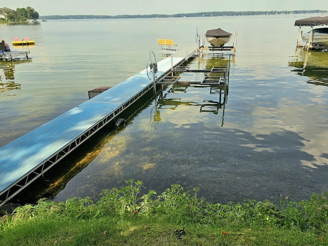 dock area with a water view