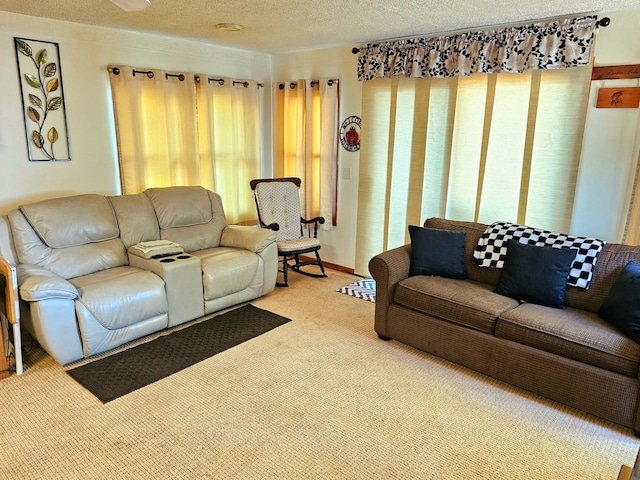 living area with carpet flooring and a textured ceiling