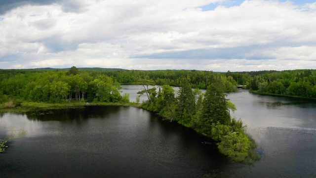 water view with a wooded view