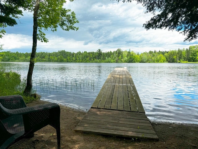 dock area with a water view and a wooded view