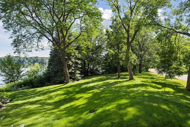 3550 Island View Cir NW, Prior Lake, MN 55372 - photo 40