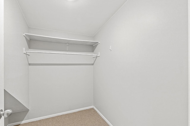 spacious closet with lofted ceiling and carpet floors