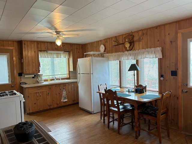 dining room featuring ceiling fan, light hardwood / wood-style floors, wood walls, and sink