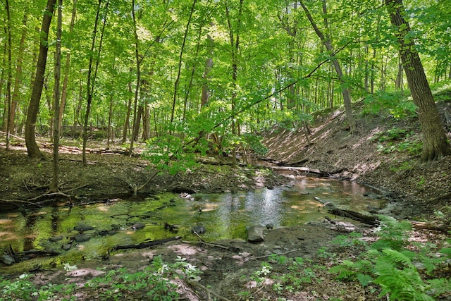 view of local wilderness featuring a water view