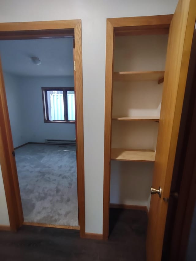 closet with baseboard heating