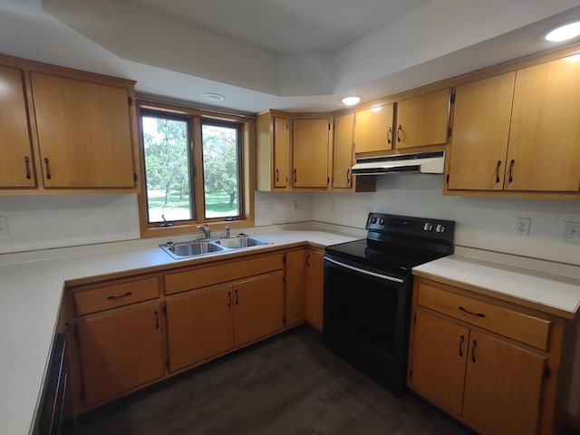 kitchen featuring black range with electric cooktop, sink, and dark hardwood / wood-style flooring