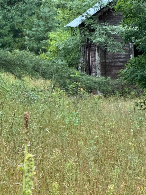 view of outdoor structure