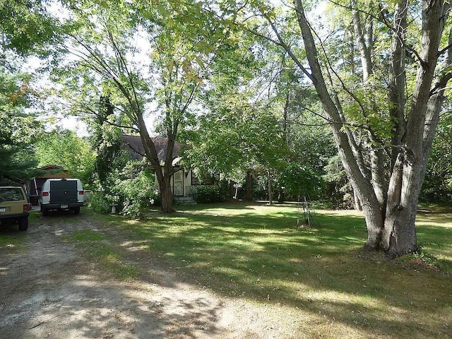 22519 County Road 3, Lake Edward Twp, MN 56465 - view of yard