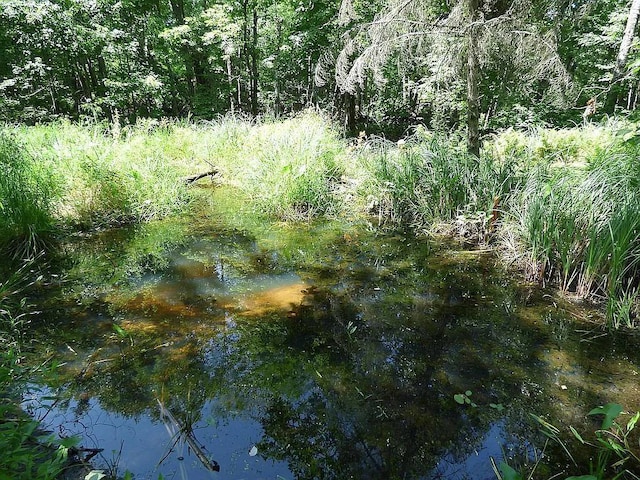 view of nature featuring a water view