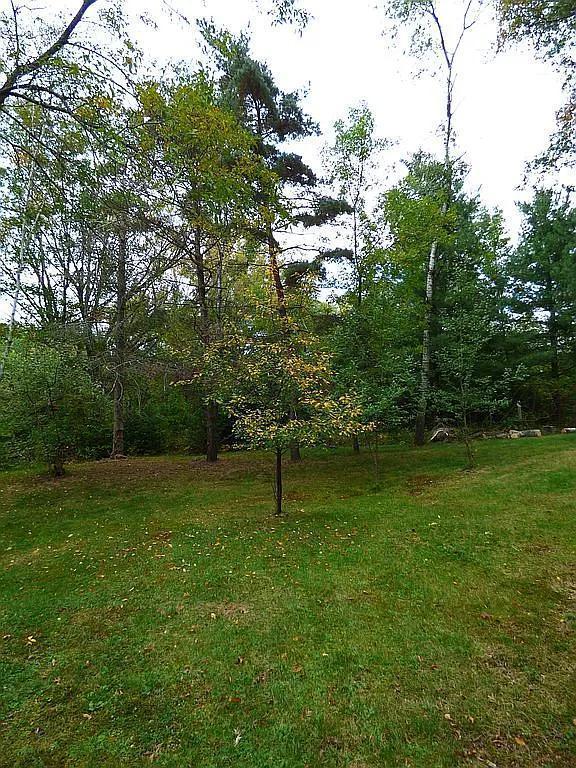 22519 County Road 3, Lake Edward Twp, MN 56465 - view of yard