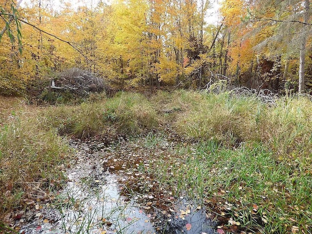 view of yard with a water view