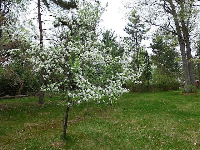 22519 County Road 3, Lake Edward Twp, MN 56465 - view of yard