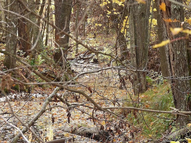 view of local wilderness with a water view