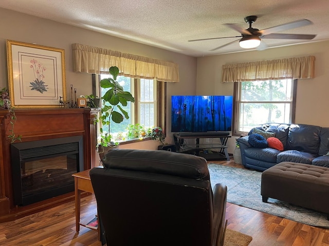 living room with ceiling fan, a textured ceiling, and wood-type flooring