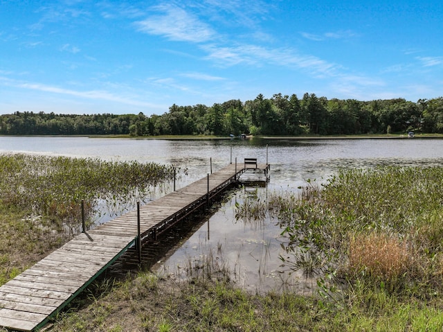 view of dock featuring a water view