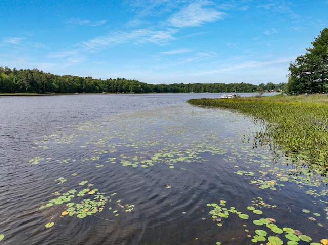 property view of water