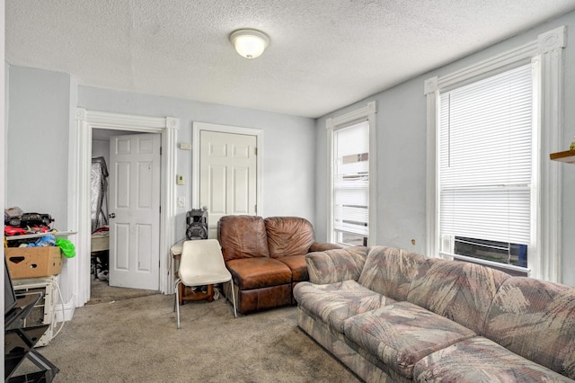 living room with a textured ceiling and carpet flooring