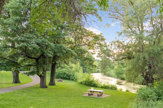 view of community with a lawn