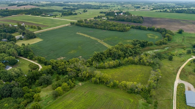 4081 Dassel Ave, Webster Twp, MN 55088 - photo 7