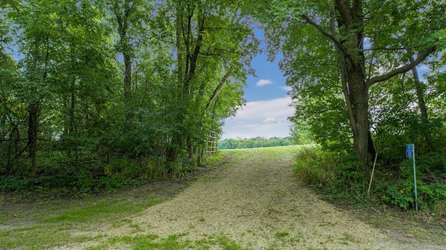 4081 Dassel Ave, Webster Twp, MN 55088 - photo 13