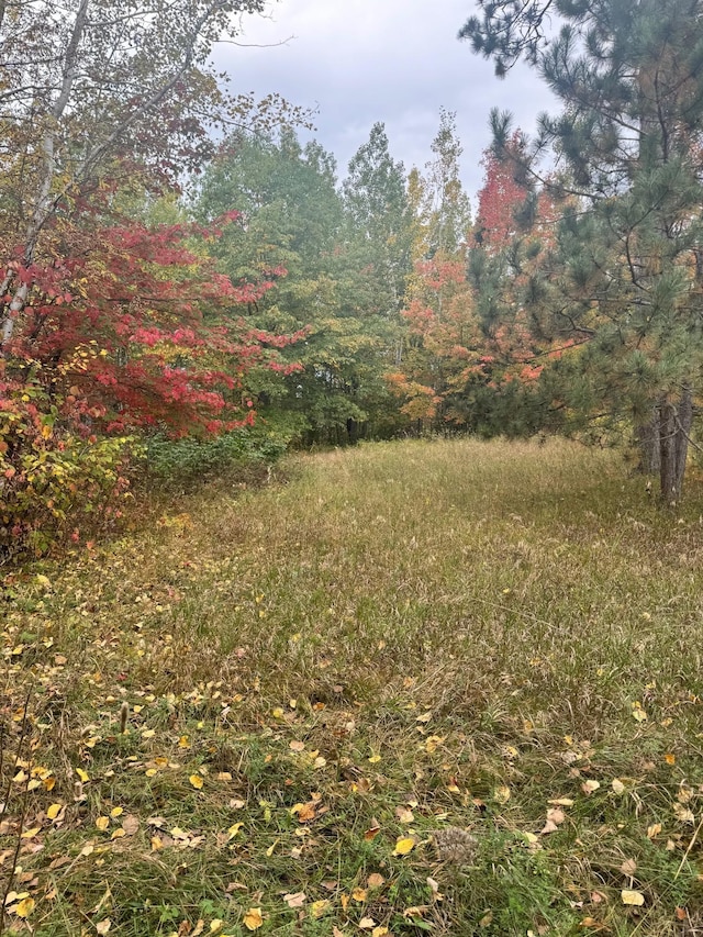 TBD Pond View Ln NW, Walker MN, 56484 land for sale