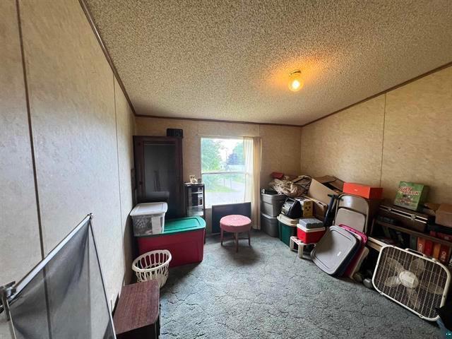 interior space featuring a textured ceiling, crown molding, and carpet flooring