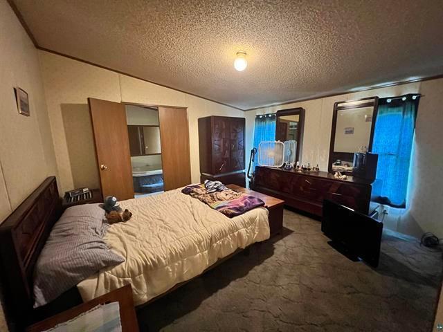 carpeted bedroom with vaulted ceiling and a textured ceiling