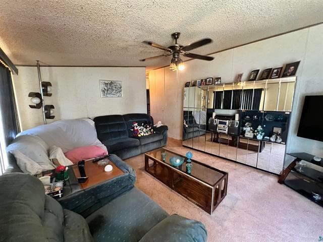 living room with carpet, ceiling fan, and a textured ceiling