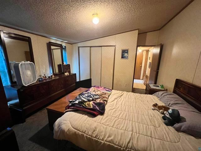 carpeted bedroom with a textured ceiling, a closet, and lofted ceiling