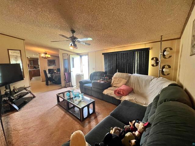 living room featuring ceiling fan, a textured ceiling, and ornamental molding