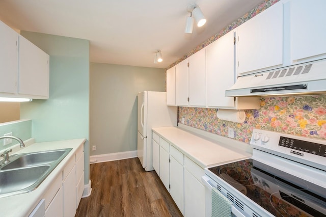 79 Western Ave N Unit 205, Saint Paul, MN 55102 - kitchen with white appliances, under cabinet range hood, a sink, dark wood-style flooring, and light countertops