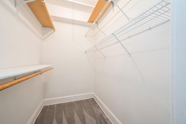79 Western Ave N Unit 205, Saint Paul, MN 55102 - walk in closet with carpet