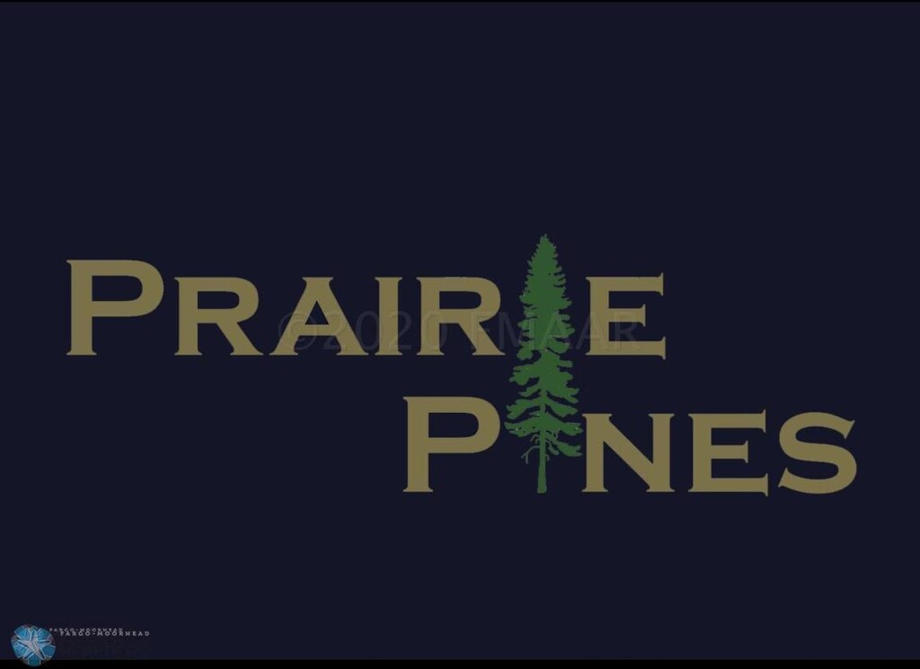 303 Pine Dr, Hankinson, ND 58041