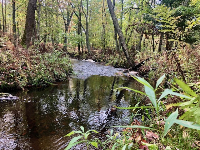 view of water feature